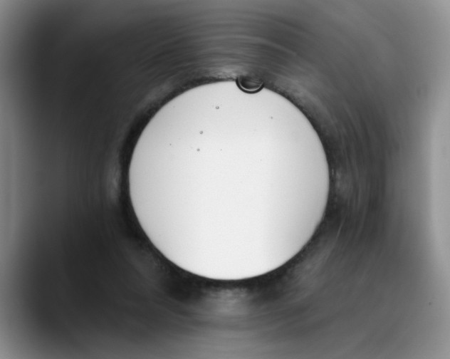 X0000089830304200707191831