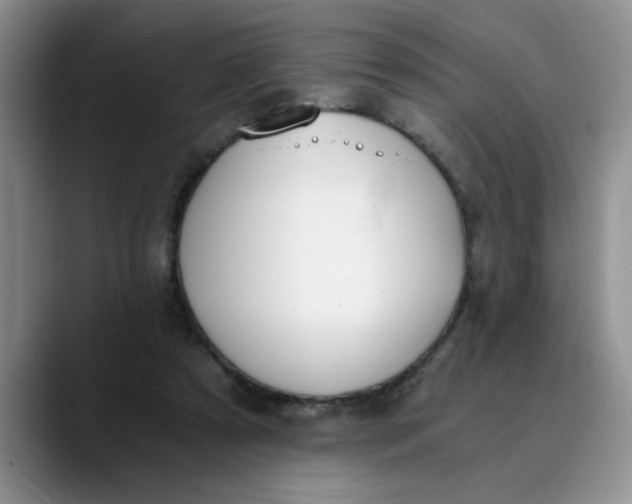 X0000089830305200707191831