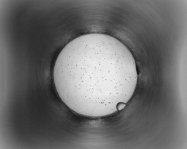 X0000089830306200707191831