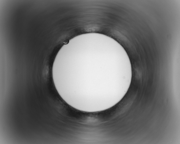 X0000089830308200707191831