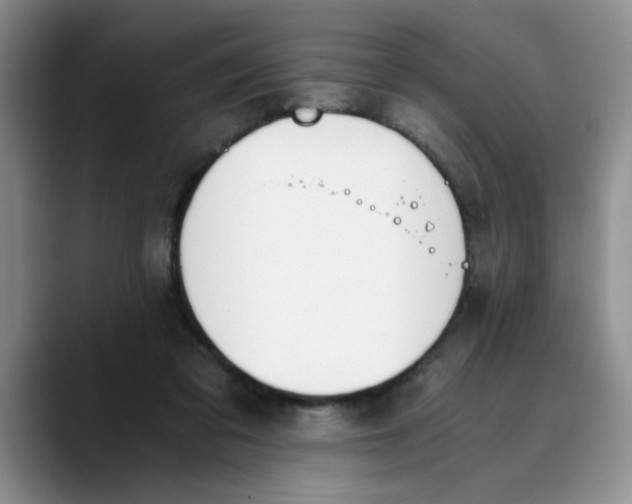 X0000089830309200707191831