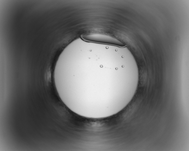 X0000089830310200707191831