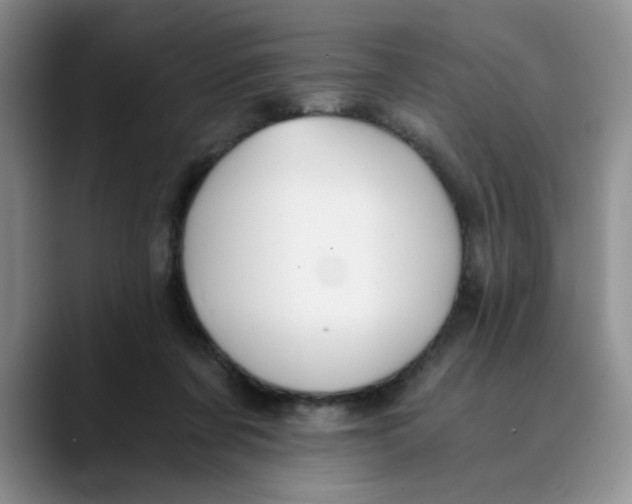 X0000089830311200707191831