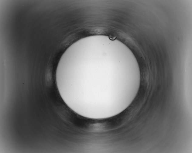 X0000089830312200707191831