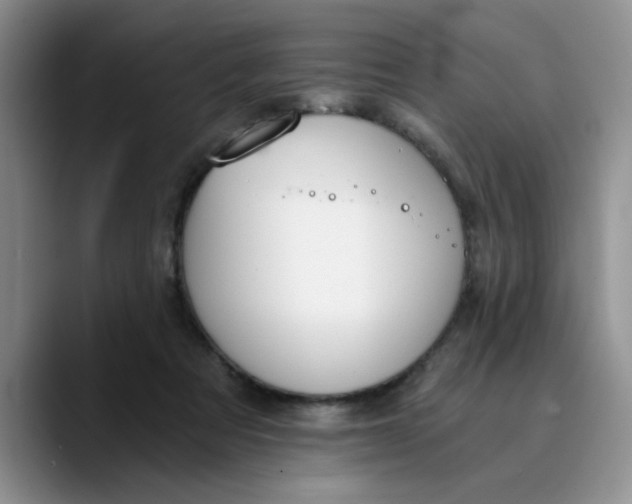 X0000089830313200707191831