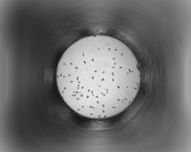 X0000089830315200707191831