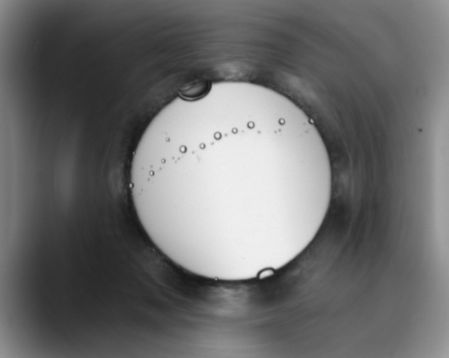 X0000089830317200707191830