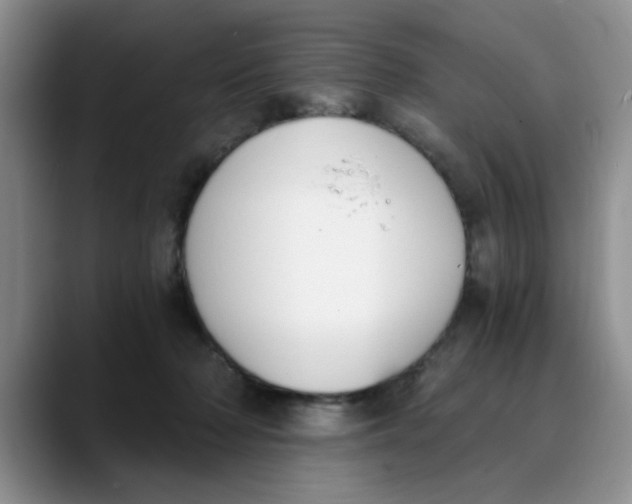 X0000089830318200707191830