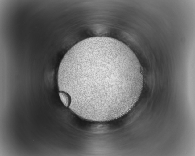 X0000089830319200707191830