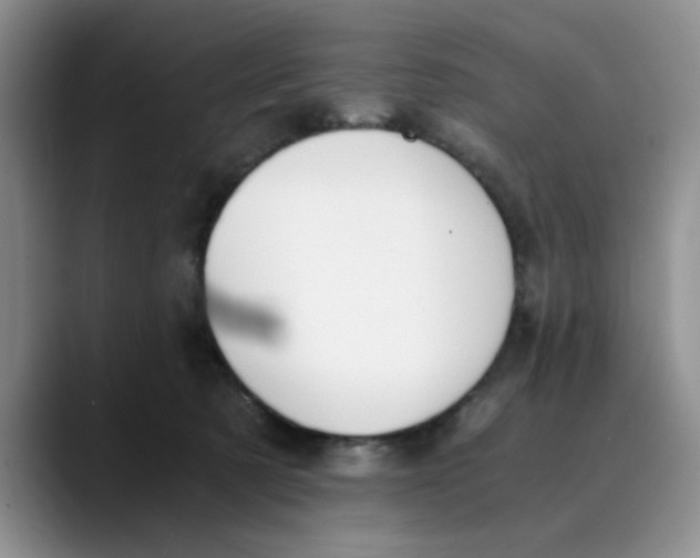 X0000089830321200707191830