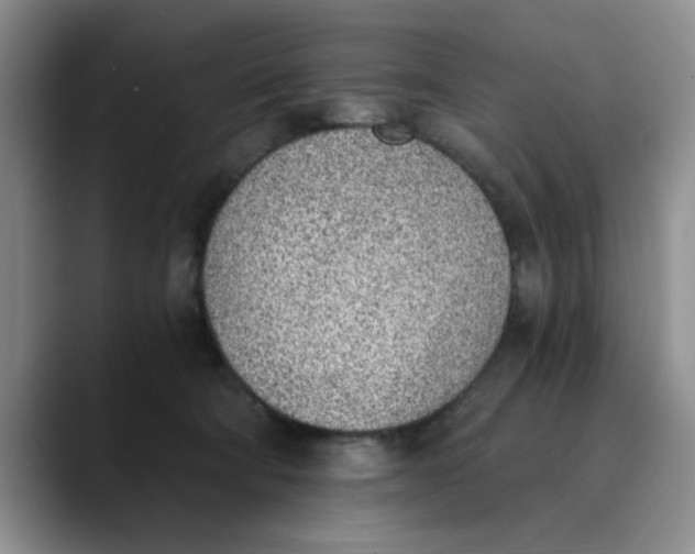 X0000089830322200707191830