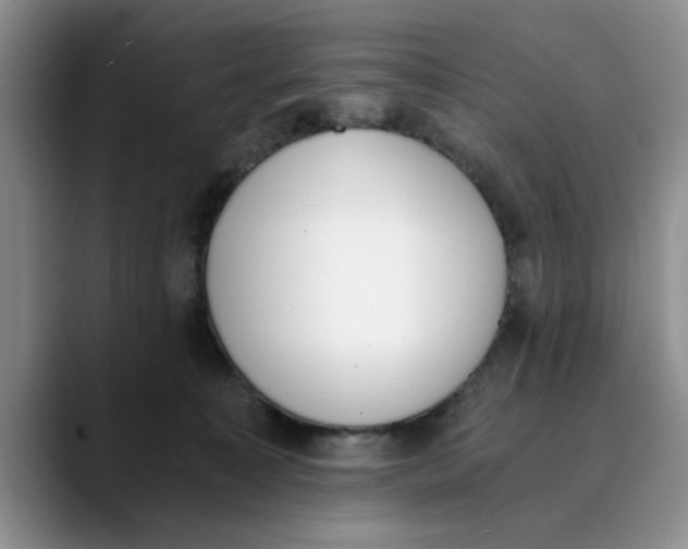 X0000089830323200707191830