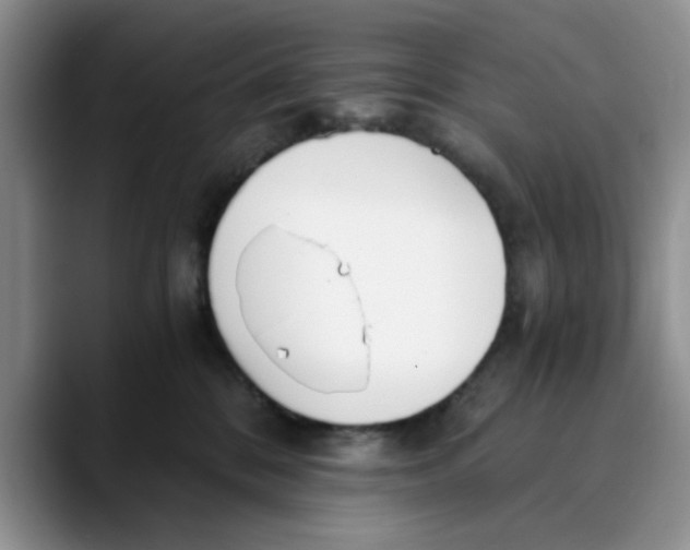 X0000089830328200707191830