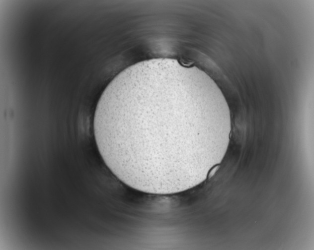 X0000089830330200707191830