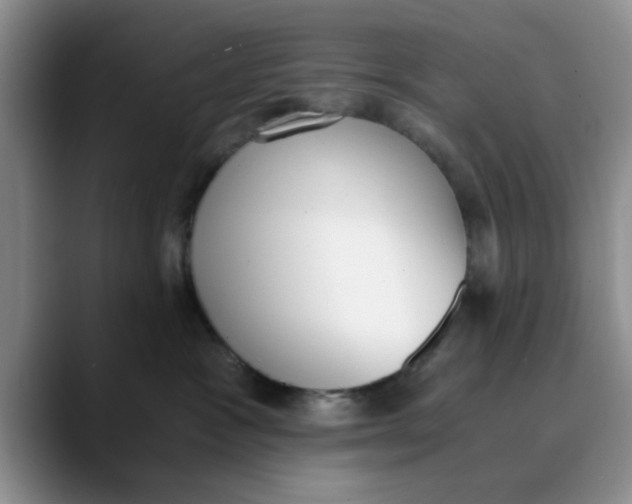 X0000089830333200707191830