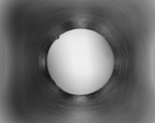 X0000089830334200707191830