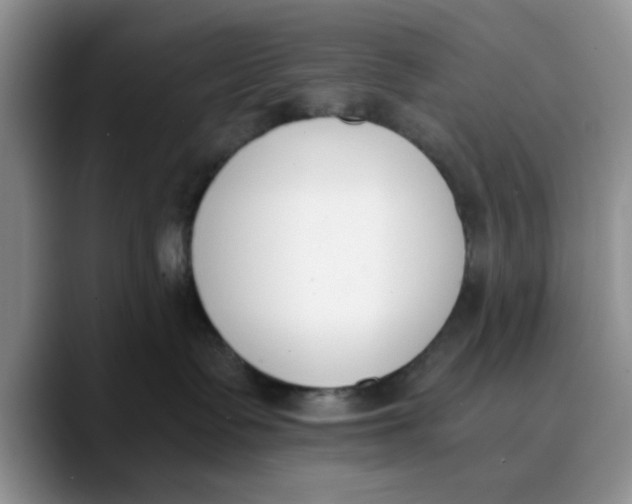 X0000089830335200707191830