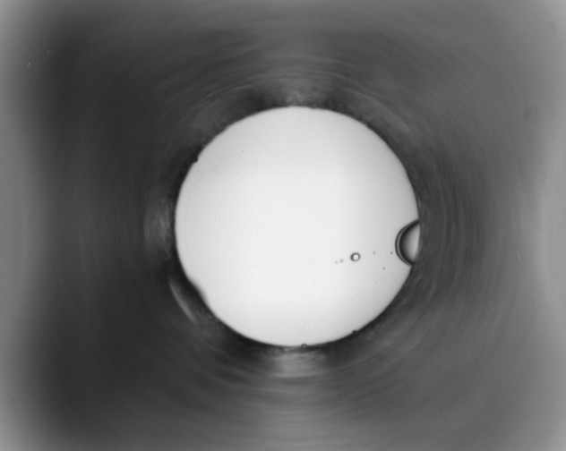 X0000089830336200707191830