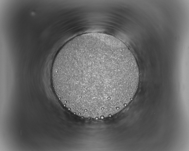 X0000089830337200707191830