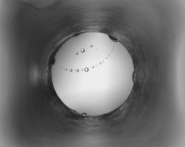 X0000089830338200707191830