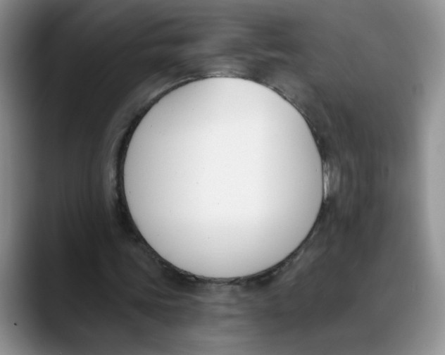 X0000089830339200707191830