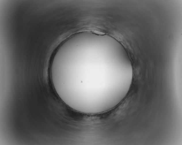 X0000089830340200707191830