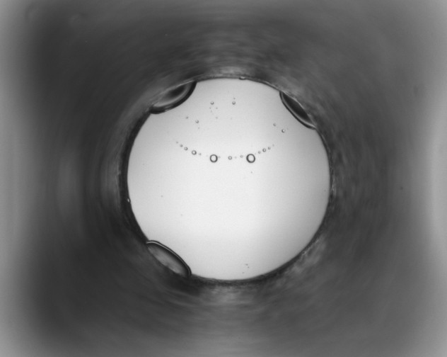 X0000089830341200707191830