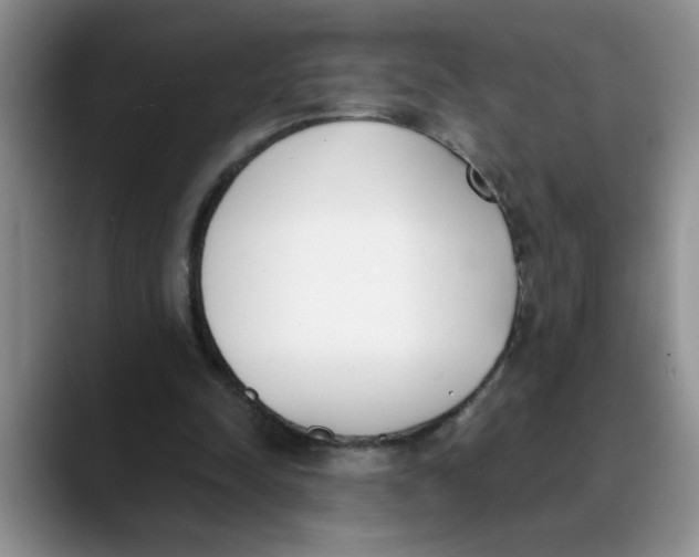 X0000089830342200707191830