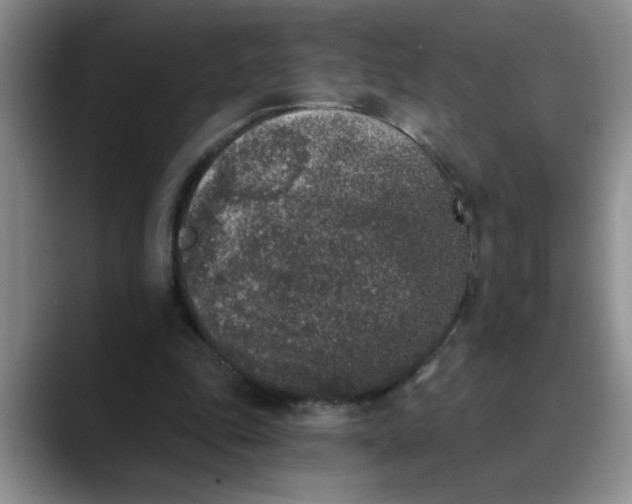 X0000089830343200707191830