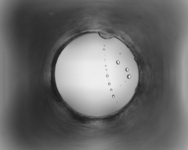 X0000089830344200707191830