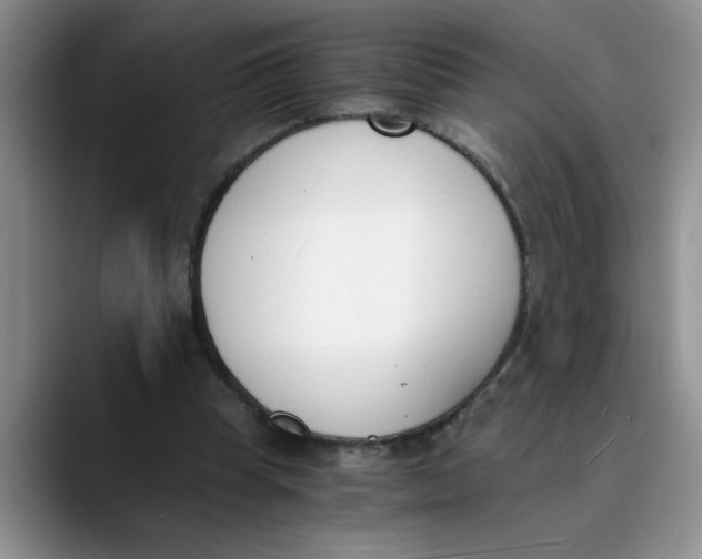 X0000089830345200707191830