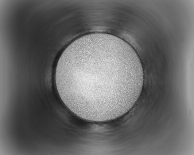 X0000089830346200707191830