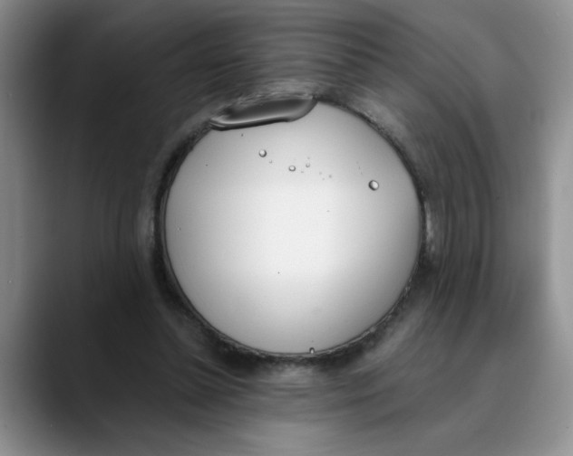 X0000089830348200707191830