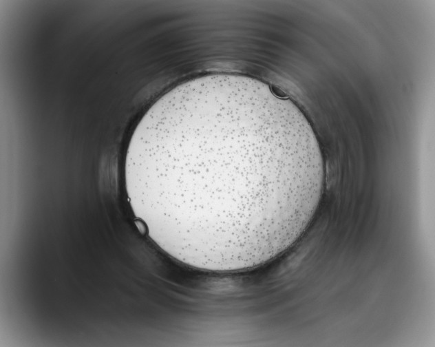 X0000089830349200707191830