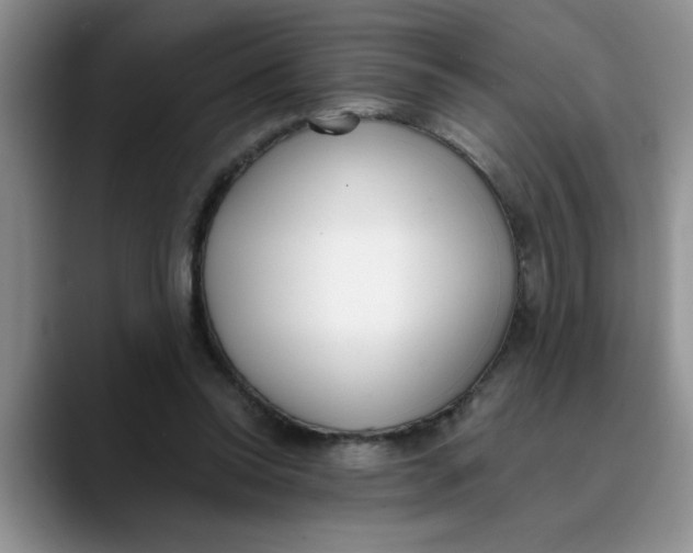 X0000089830350200707191830