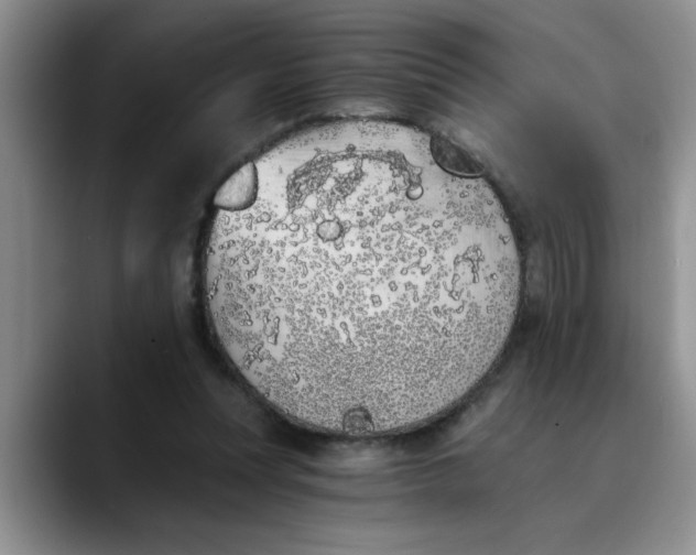 X0000089830351200707191830