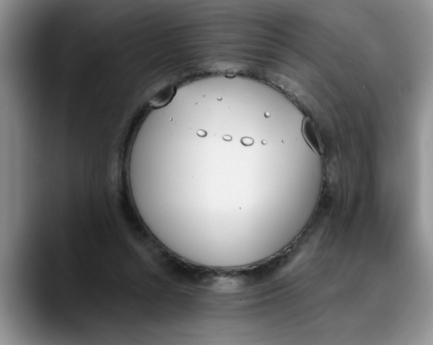 X0000089830352200707191830