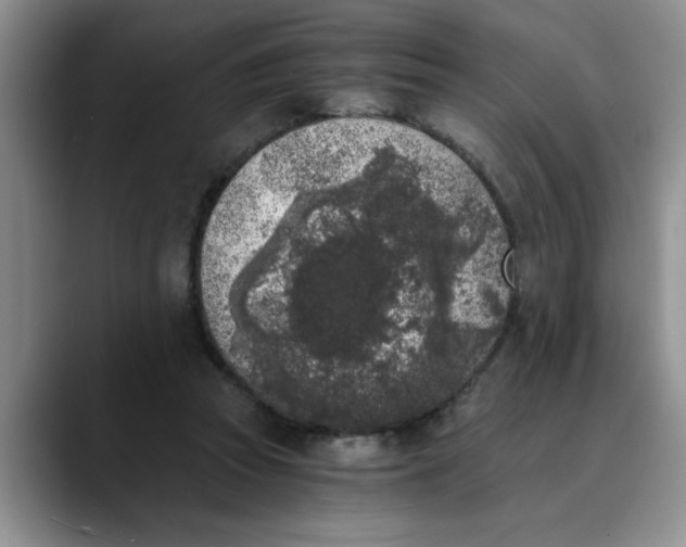 X0000089830353200707191830