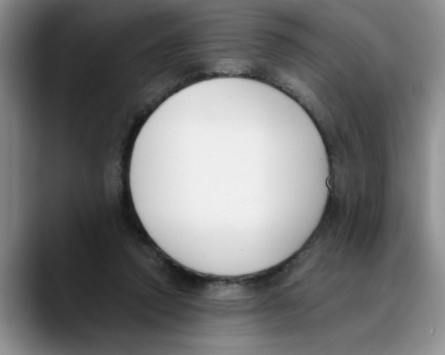 X0000089830354200707191830