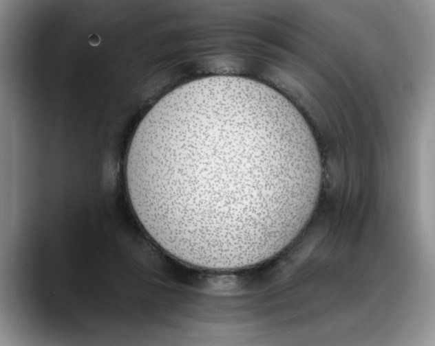 X0000089830355200707191830