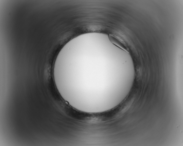 X0000089830356200707191830