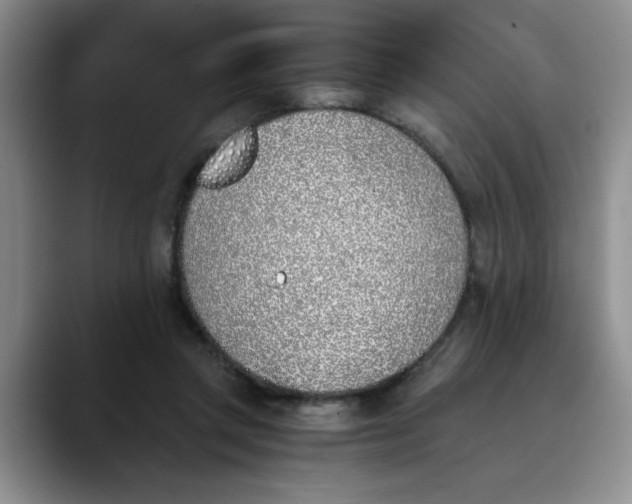 X0000089830357200707191830