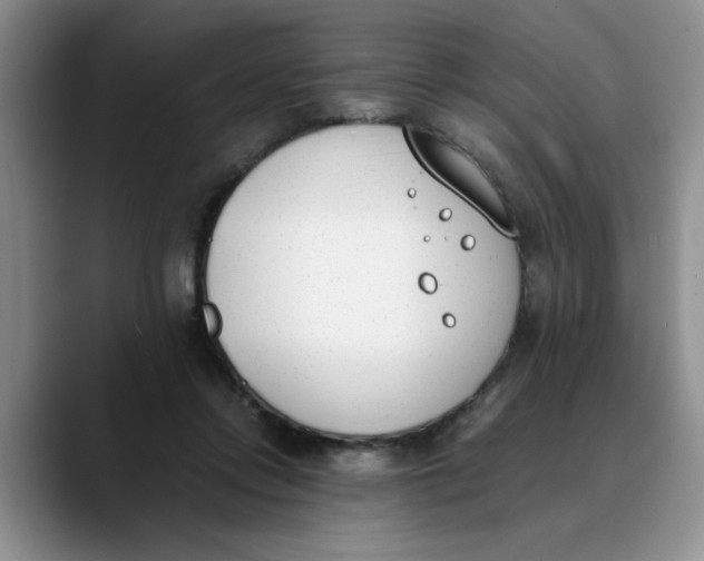 X0000089830358200707191830