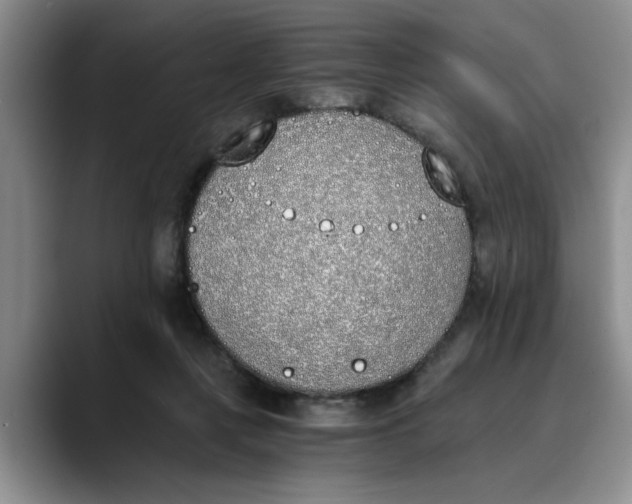 X0000089830359200707191830