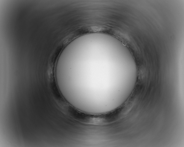 X0000089830360200707191830