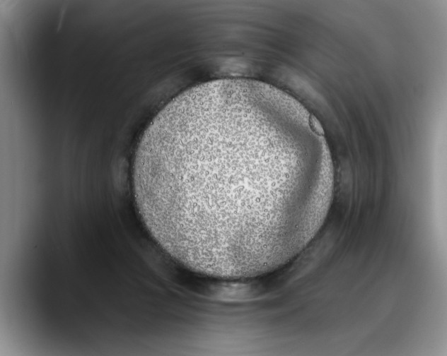 X0000089830361200707191830