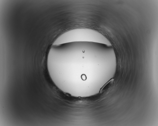 X0000089830364200707191830