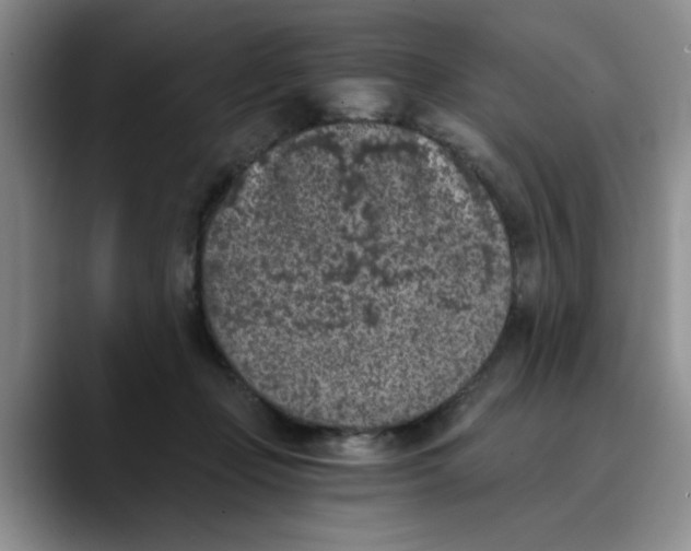 X0000089830365200707191830