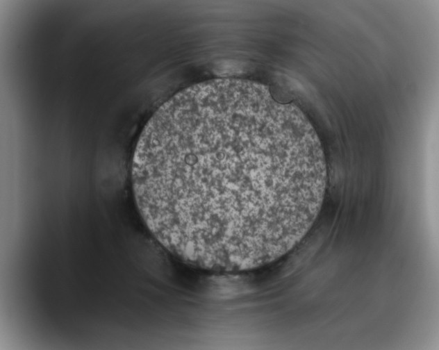 X0000089830367200707191830