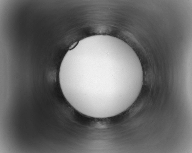 X0000089830368200707191830